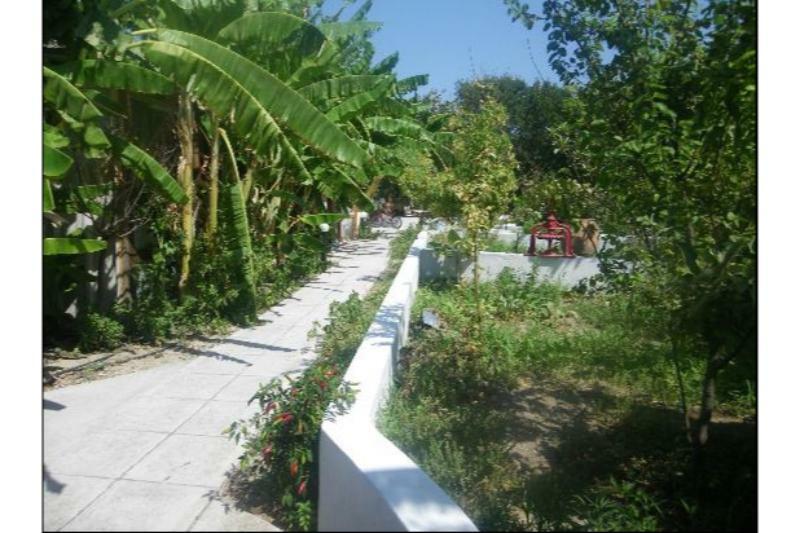 Chronis Rooms & Apartments Adamantas Exterior photo